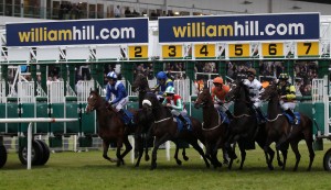 william hill horse racing