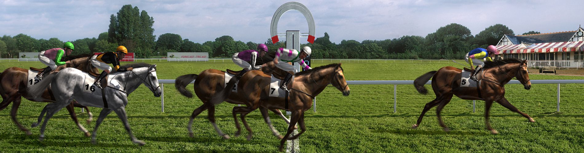 William Hill Horse Racing Cards William Hill Horse Racing Cards